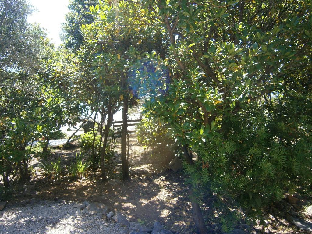 Apartments Grbin (Adults Only) Lumbarda Exterior foto